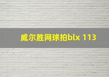 威尔胜网球拍blx 113